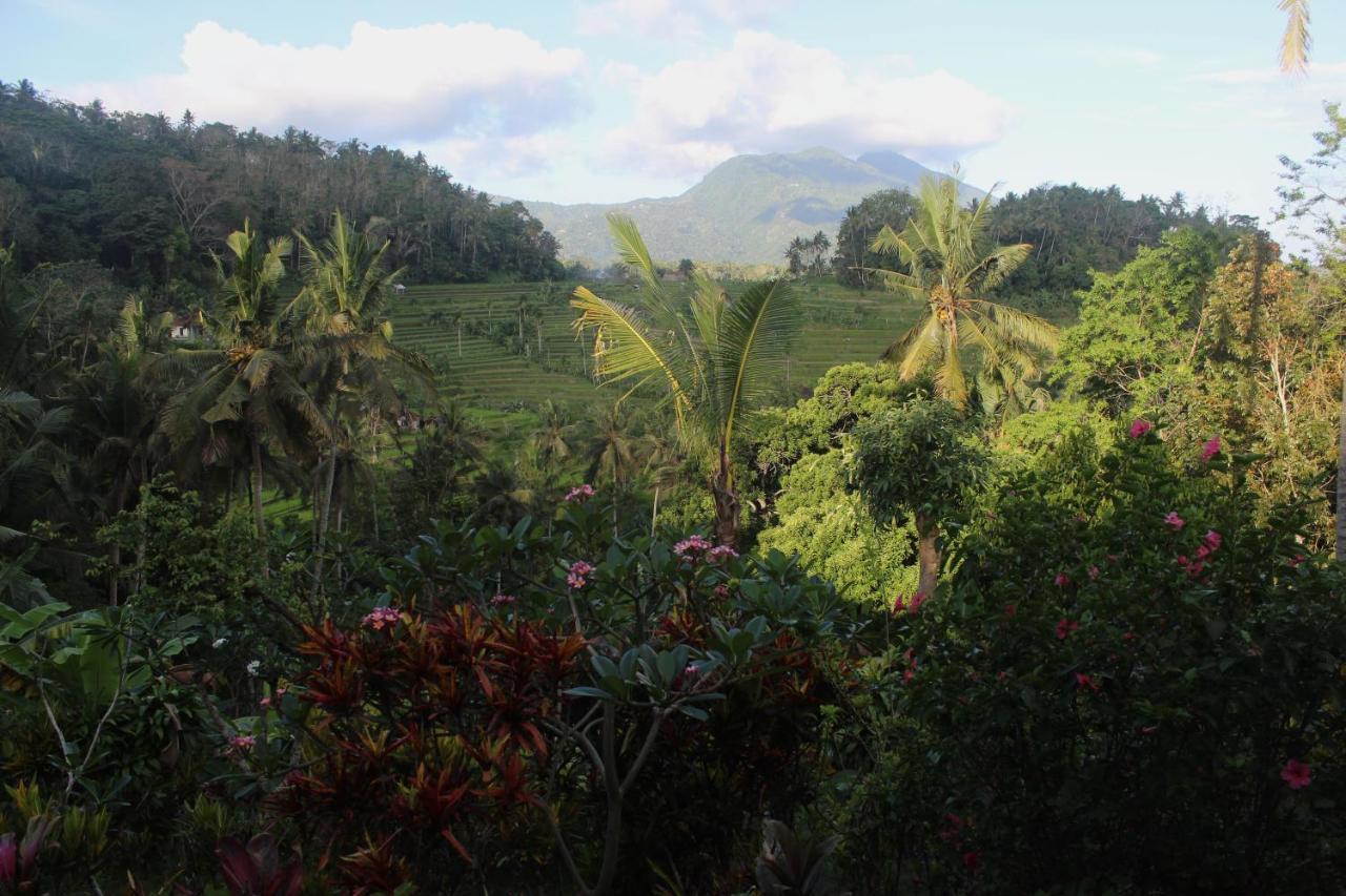 Pondok Lembah Dukuh Homestay Karangasem Екстериор снимка
