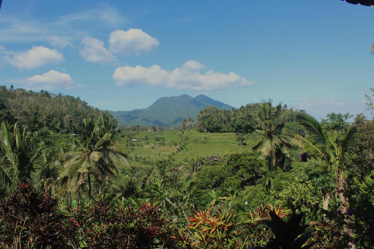 Pondok Lembah Dukuh Homestay Karangasem Екстериор снимка